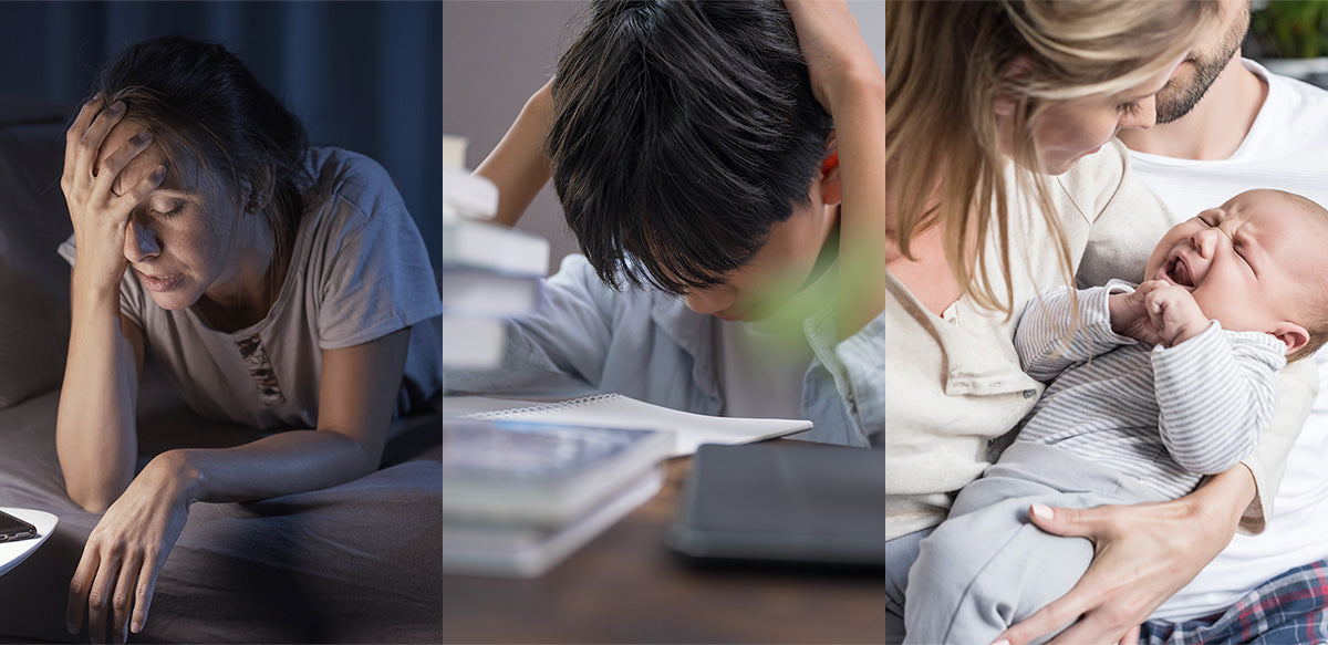 Kleva 3-In-1 Sleep White Noise Soother Sound Machine