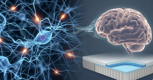 The Glymphatic System: Why Your Brain Needs Quality Sleep to “Clean” Itself