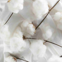 An array of soft, white cotton balls.