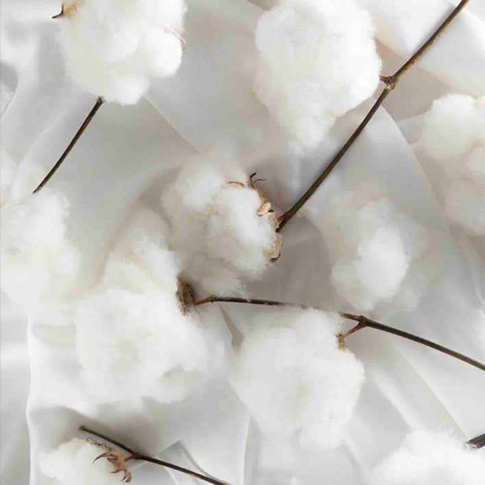 An array of soft, white cotton balls.