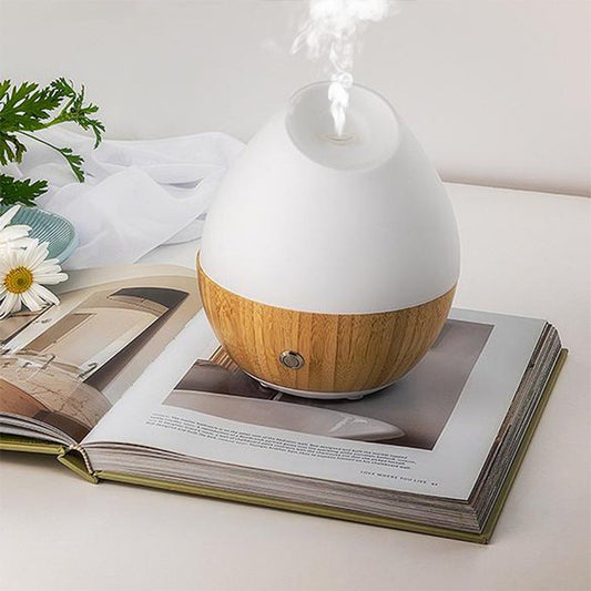 A white and bamboo diffuser placed on an open book.